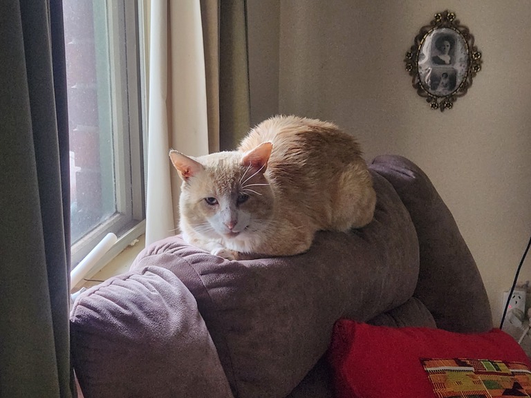 I’ve Lost Another Friend